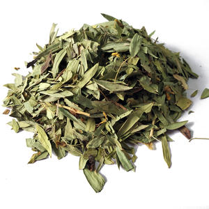 senna leaves prime no 3