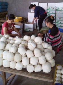 De coco fresca/frutas y agua de coco/vietnam de coco fresco en 2020 - Product Image 3