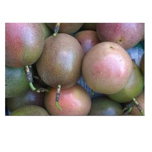 ผลไม้เสาวรสจากเวียดนามจากซัพพลายเออร์ที่ดี - Product Image 1