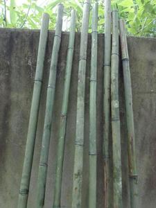 Poteaux de bambou de la meilleure qualité pour la construction et les installations du Vietnam en vente - Product Image 5