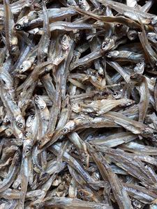 <b>Dried</b> Anchovy/ <b>Sprats</b> / Louis +84 943 481 858 - Product Image 4