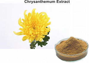 Vietnam Poudre de chrysanthème séchée meilleur prix et haute qualité - Product Image 3