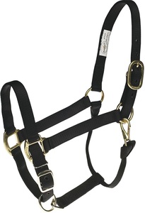 Cabestro para Caballo de Tela de Nailon Modelo AIHN-55 Multicolor - Product Image 2