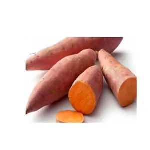 SOFT SWEET POTATO/RED POTATO WITH DELICIOUS TASTE + 84-845-639-639 (Whatsapp)