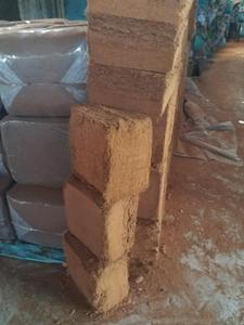 Tourbe de Coco EC basse poudre Ms. Vacances - Product Image 2