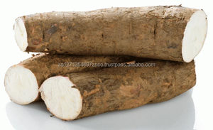 Yuca y Tapioca Frescas, Certificadas ISO-HACCP, Producto de Sudáfrica - Product Image 3