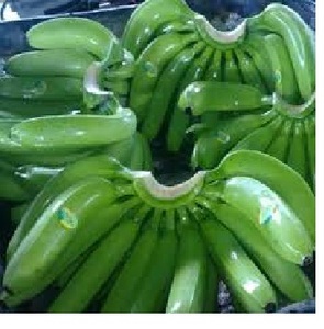 HAUTE QUALITÉ-BAS PRIX BANANE À EXPORTER 2024 - Product Image 2