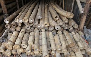 Renewable Whole <b>Bamboo</b> Poles Natural <b>Raw</b> <b>Materials</b> - Product Image 2