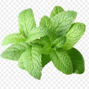 น้ำมันหอมระเหยกานพลูบริสุทธิ์100% เกรดพรีเมี่ยม - Product Image 2