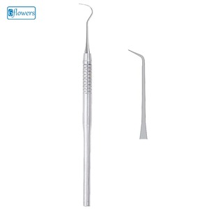 นักสำรวจคนเดียวสิ้นสุดลง - Product Image 1