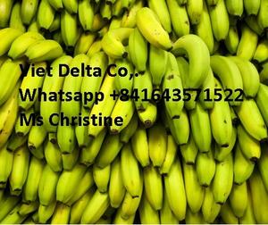 กล้วยสดคุณภาพดีที่สุดจากเวียดนาม - Product Image 4