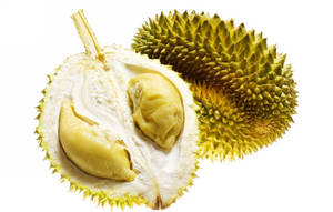 มัสสางคิงทุเรียนสด / ทุเรียนสด RI6 / ทุเรียนสดราคาดีที่สุด ทุเรียนธรรมชาติ 100% เพื่อการส่งออก - Product Image 6