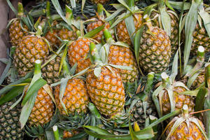 Ananas frais (naturellement sucré et doré) - Certifié HACCP 17-20cm 1kg Fruit tropical - Product Image 2