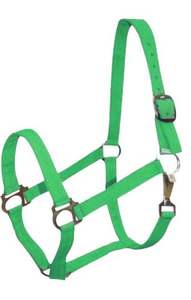 Cabestro de nailon para caballo con herrajes de latón pulido, duradero y ajustable - Product Image 5