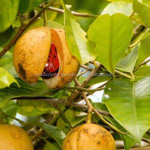 URE-lavador utmeg, herramienta de lavado - Product Image 1