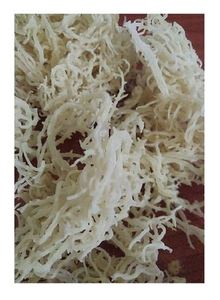 DRIED EUCHEUMA/ COTTONII/ SPINOSUM <b>SEAWEED</b> - Product Image 3