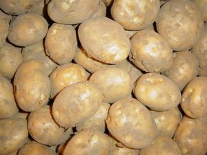 2018 Fournisseurs de pommes de terre fraîches de haute qualité au Vietnam 2020 - Product Image 6