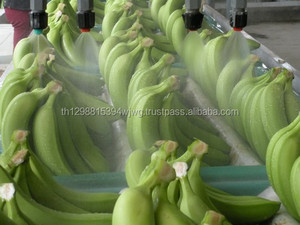 <strong>Dwarf</strong> Cavandish <strong>Banana</strong> - Fruit Wit Sweet Yummy Tasty Variety. - Product Image 4