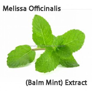 Vente en gros Melissa Pure Huile Essentielle avec emballage personnalisé - Product Image 2