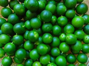 Poudre de Kumquat de Haute Qualité - Poudre de Calamansi - Product Image 4