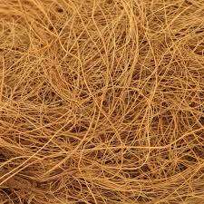 Fibre de noix de coco crue/fibre de coco de noix de coco/fibre de coco de fibre de coco fabriquée au Vietnam avec la qualité et le prix le moins cher - Product Image 3