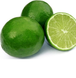 Citron vert sans pépins du Vietnam - Meilleure qualité et prix abordable - Product Image 3