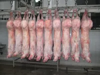 Daging Domba Beku Utuh Halal