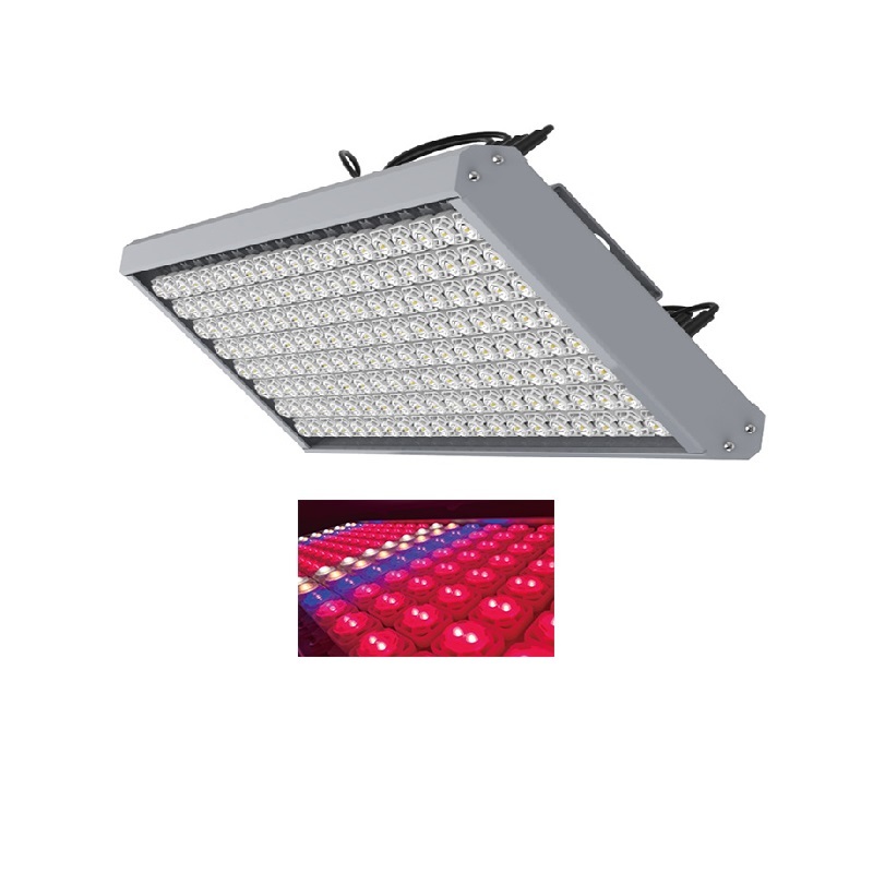完璧な屋内成長のための品質中国製の1000W LEDグロウライト -Alibaba.com