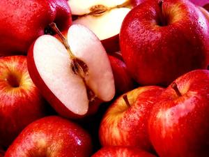 Manzanas Red Delicious Frescas de Nueva Cosecha, Grado 1, Sudáfrica, 1 Año de Vida Útil, Precio Bajo de Fábrica en Alta Calidad - Product Image 2