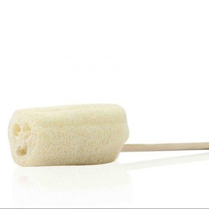 Luffa naturel brut/luffa naturel pour douche/savon luffa vacances - Product Image 3