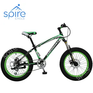 chinese classic 20 inch alloy frame fat tire bikes from Taiwan