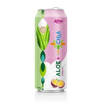 Rita Aloë Vera Sap 330ml Perzik smaak Aloë Vera NFC Zachte Fruitpuree Peer Mangosteen Aardbei Blikje Vietnam