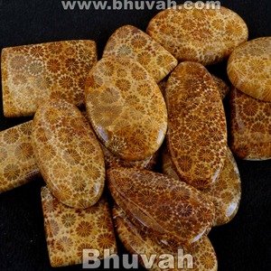 Venta al por mayor lote de buena calidad flor Coral Natural piedra preciosa suelta cabujón para la fabricación de joyas anillo colgante collar pulsera - Product Image 5