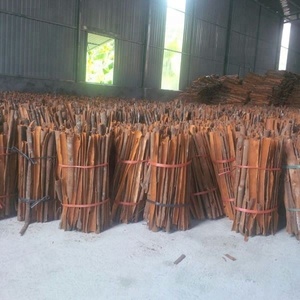 90% ซินนามอนแบบม้วนขนาด6ซม. 8ซม. ทำจากเวียดนาม969 854 800จากผู้ผลิตในเวียดนาม - Product Image 4