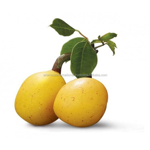 Aceite orgánico Natural para el cuidado de la piel, aceite de semilla de martula pura para el cuidado de la piel, aceite nutritivo de Marula vegana - Product Image 2