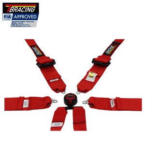 Harnais de course léger à 6 points compatible FIA FHR, ceinture de sécurité rouge avec rallonge - Product Image 6