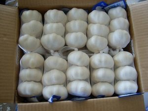 Ajo Blanco Orgánico Fresco, 2 kg, en Bolsas de Malla/Cartones, Precio de Fábrica para Venta al por Mayor, Vegetales de la Familia Liliácea con 24 Meses de Vida Útil - Product Image 4