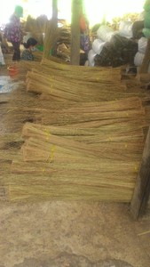 VIETNAM PALM BROOMSTICK et COCO BROOMSTICK au MEILLEUR PRIX/COCONUT BROOM STICK PRÊT pour L'EXPORTATION DU VIETNAM/Laura - Product Image 2