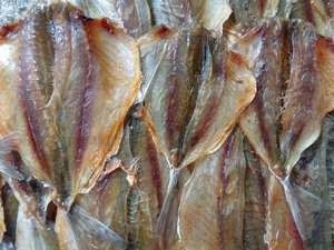 Goût séché facilement, jaune, bon marché, goût - Product Image 4