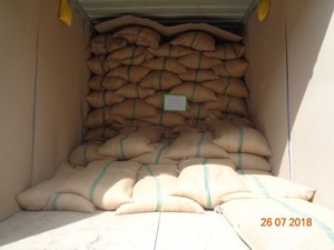พริกไทยดำเวียดนามลดราคาพิเศษ 500GL 550GL ผ่านการคัดแยกด้วยเครื่องจักร สะอาด 100% ธรรมชาติ ขายส่งจำนวนมาก ส่งออก - Product Image 6