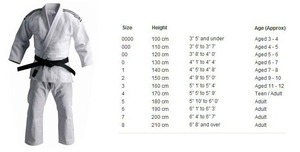 <b>Karate</b> Uniform Gi <b>Karate</b> Hot Sale <b>Karate</b> Training <b>Equipment</b> Light Weight Martial Arts Suits White Gi Tradit - Product Image 6