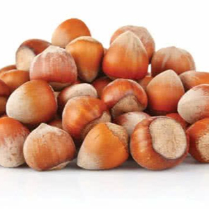 Avellanas blanqueadas secas con certificación ISO de alto grado a la venta - Product Image 1