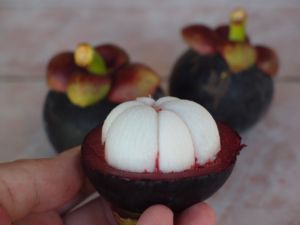 FRUTA DE MANGOSTEEN ORGÁNICA/FRESCA Y DELICIOSA en VIETNAM 2020 - Product Image 4