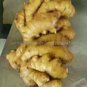 Gừng Tươi Chất Lượng Cao Giá Tốt Nhất - Product Image 1