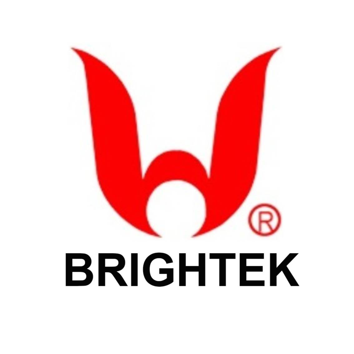 Beijing Bright Technology Development Co., Ltd. logo