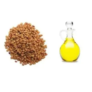 100% tự nhiên và tinh khiết Fenugreek Tinh dầu bán buôn chất lượng tốt nhất giá tốt nhất OEM ODM số lượng lớn