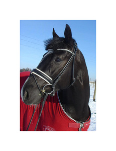 บังเหียนจูงม้าพร้อมที่คาดจมูก,ที่คาดผมทำจากแฟนซีเข็มขัดหนังวัวสีขาวนุ่ม - Product Image 1