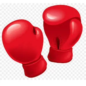 BONNE QUALITÉ GANTS DE BOXE