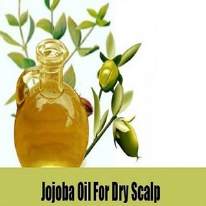 Jojoba-transportador de aceite de la mejor calidad de la India, proveedor de base de aceite, para aceite comercial - Product Image 5