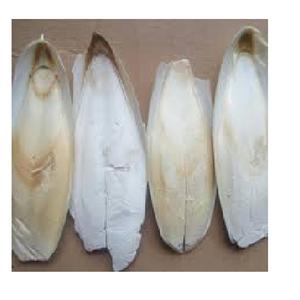 Proveedor hueso de sepia a granel - Product Image 5